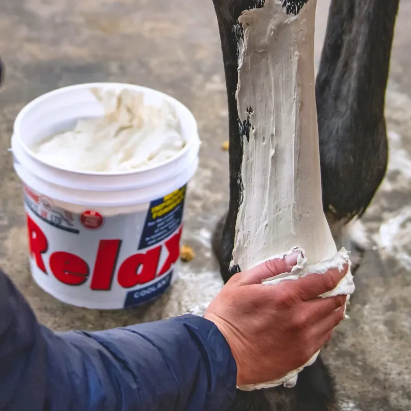 Equine Products Relax Clay Cooling Supplement-4