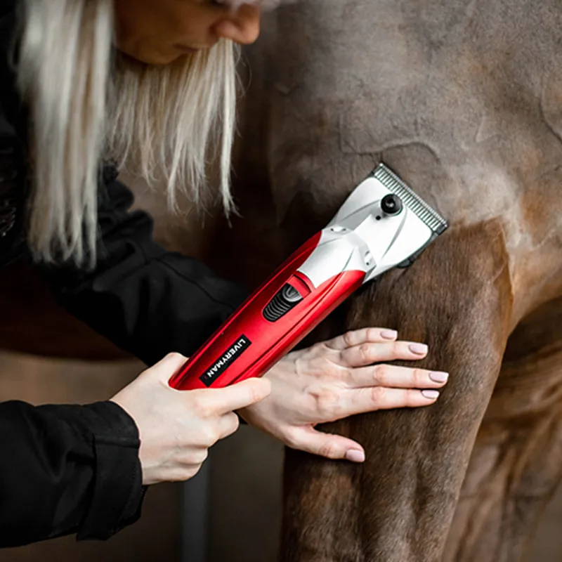 Liveryman Black Beauty Mains Horse Clipper-2