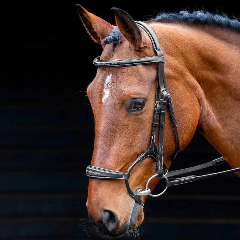 Shires Salisbury Brampton Bridle - Black