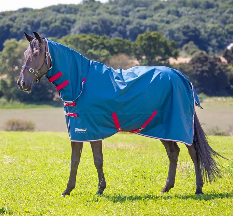 Shires Tempest Original 0g Lite Turnout Combo Rug - Teal