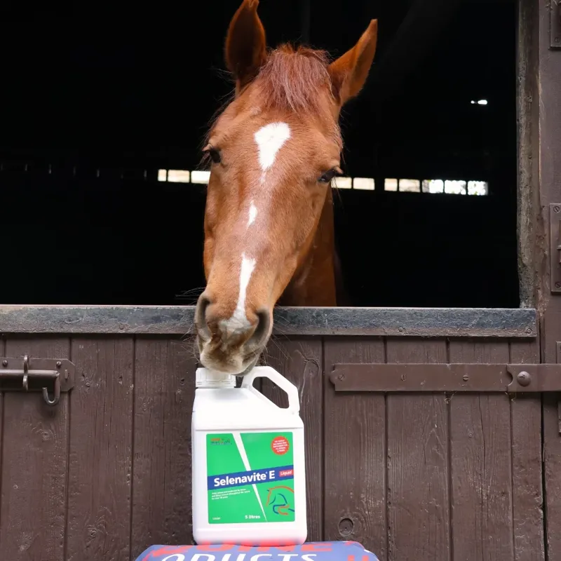 Equine Products Selenavite E All Around Feed Liquid Supplement - 1L-2