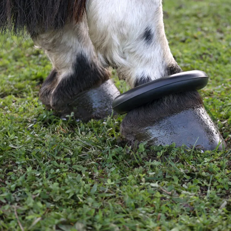 Hy Equestrian Fetlock Ring with Leather Strap - Black-1