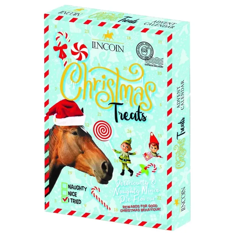 Lincoln Naughty Or Nice Advent Calendar