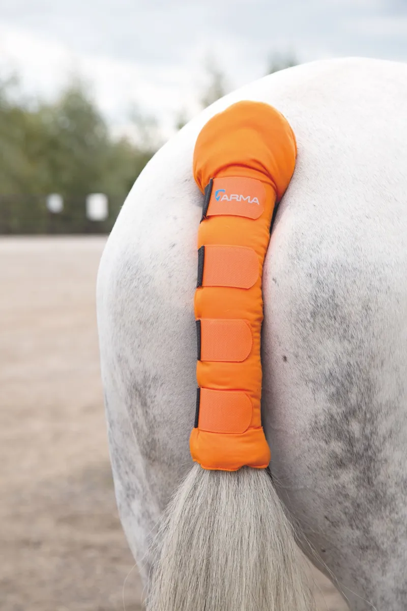 Shires ARMA Padded Tail Guard - Orange-1