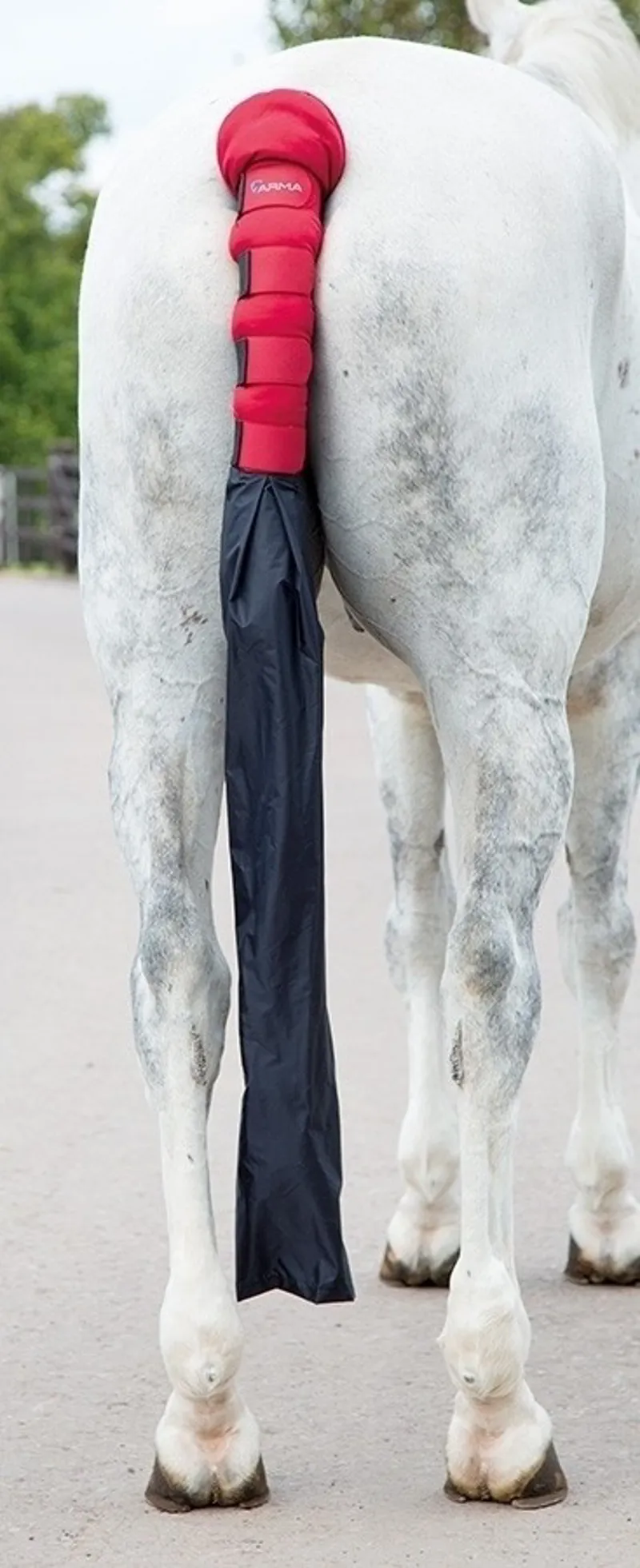 Shires ARMA Padded Tail Guard with Bag - Red-1