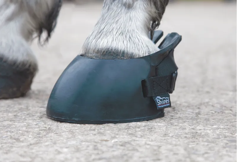 Shires Temporary Shoe Boot - Black