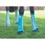 Shires ARMA Fly Boots - Teal