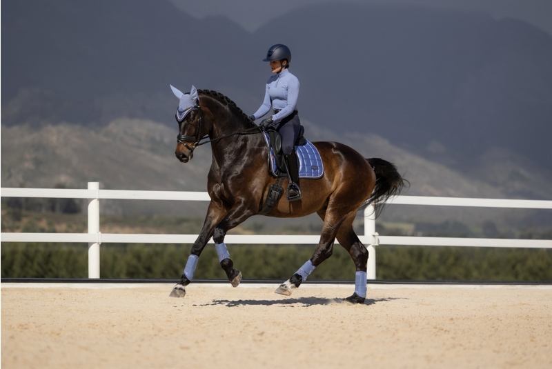 LeMieux Loire Classic Dressage Square - Powder Blue-6