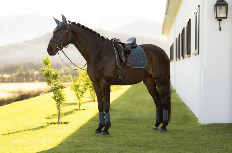 LeMieux Loire Classic Dressage Square - Jungle-2