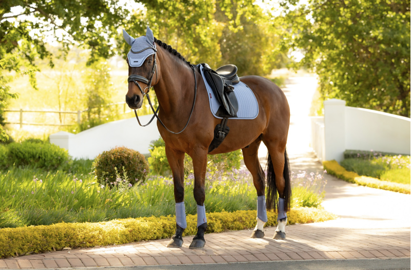 LeMieux Essence Dressage Square - Powder Blue-4