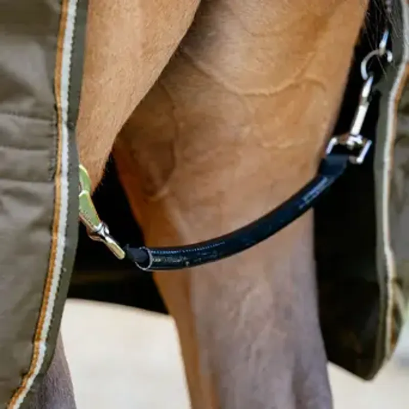 LeMieux Arika Ripstop 200g Turnout Rug - Alpine-2