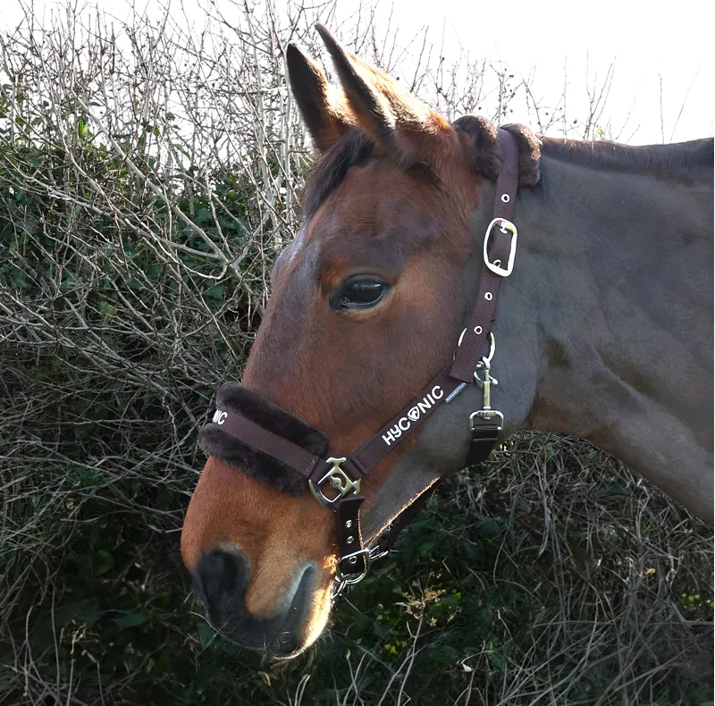 HYCONIC Faux Fur Head Collar and Lead Rope - Brown