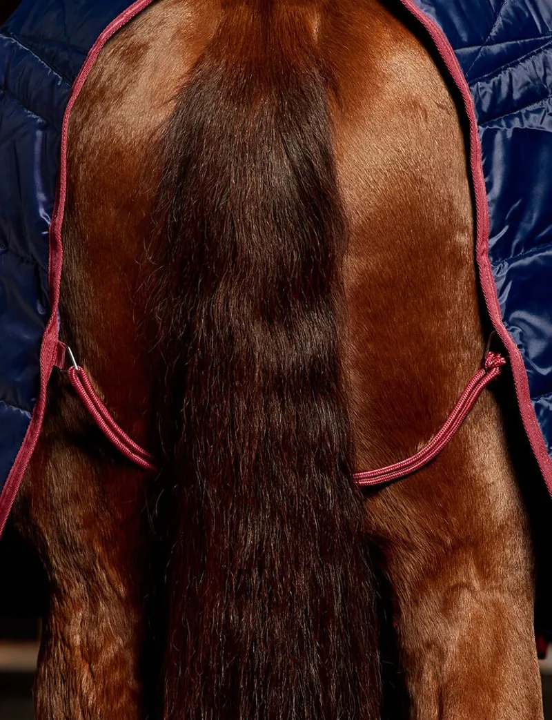 WeatherBeeta ComFiTec 210D Channel Quilt Stable Standard Neck 220g Rug - Navy/Burgundy-4