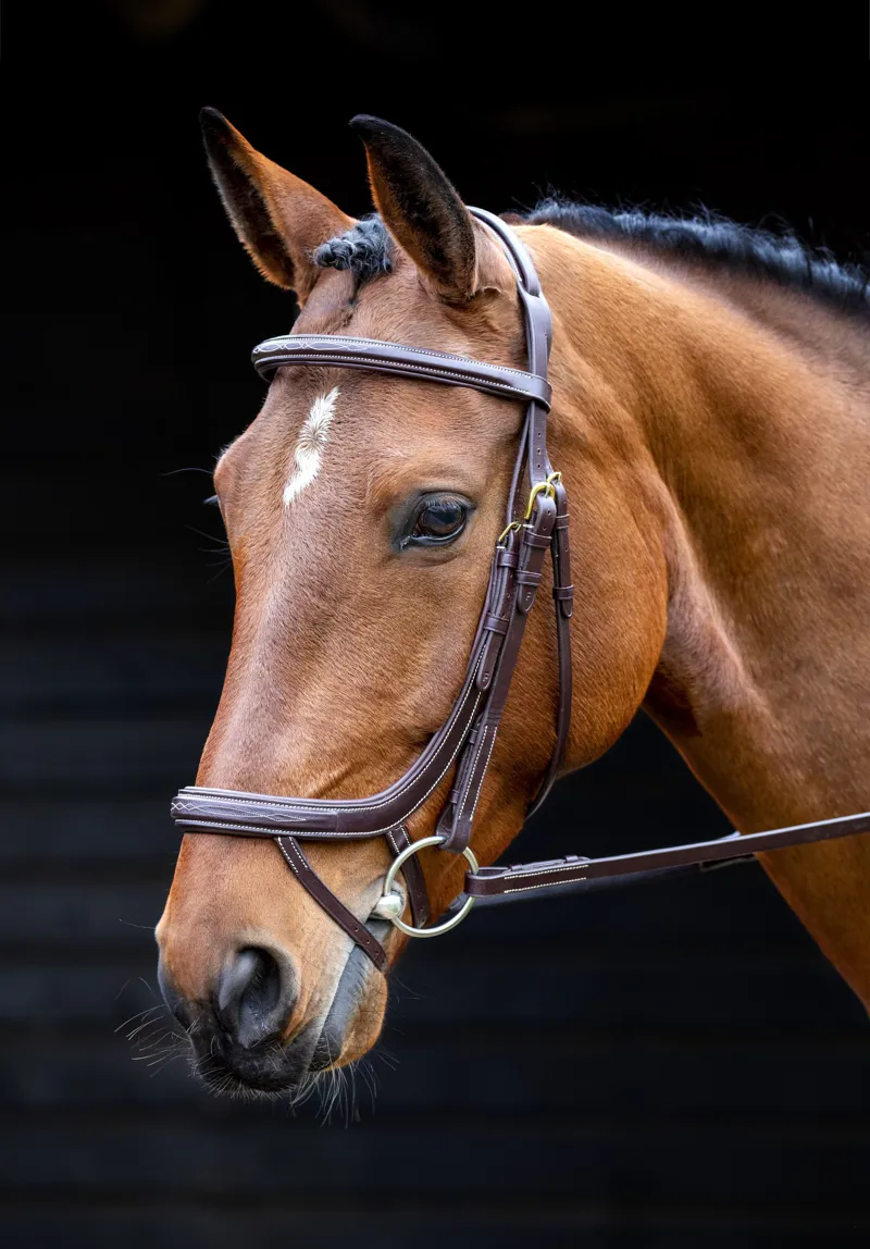 Shires Salisbury Buckingham Bridle - Australian Nut