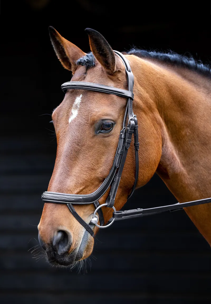 Shires Salisbury Buckingham Bridle - Black