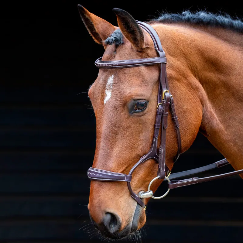 Shires Salisbury Brampton Bridle - Australian Nut