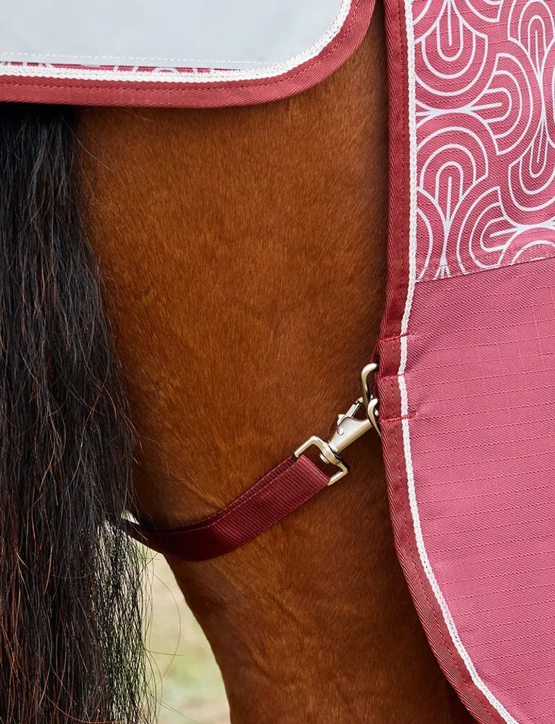 WeatherBeeta Comfitec Limited Edition 220g Turnout Rug - Bit Print-5