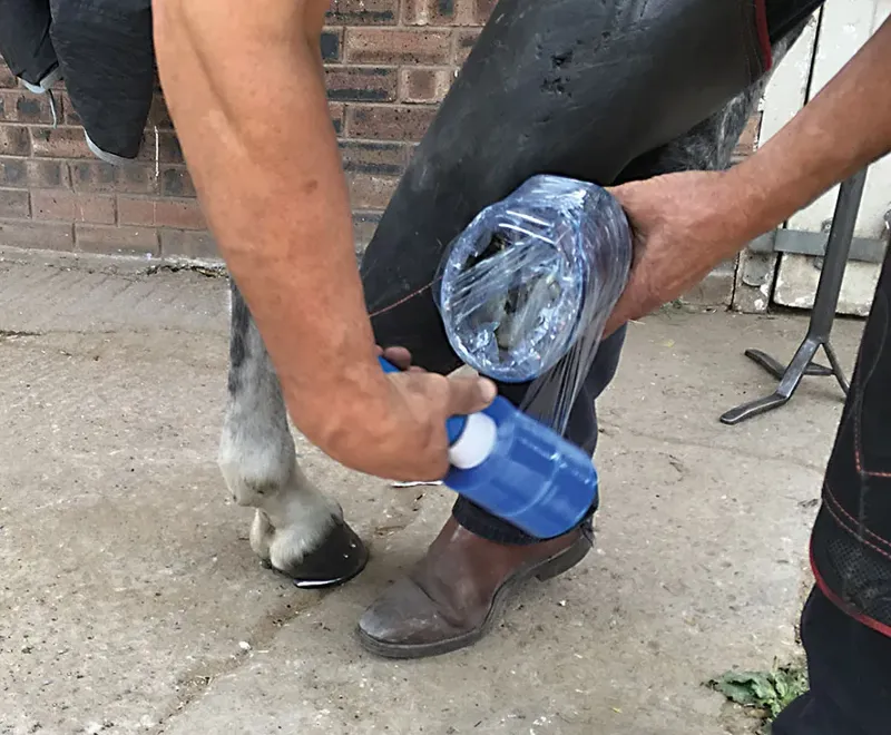 Farrier Cling-1