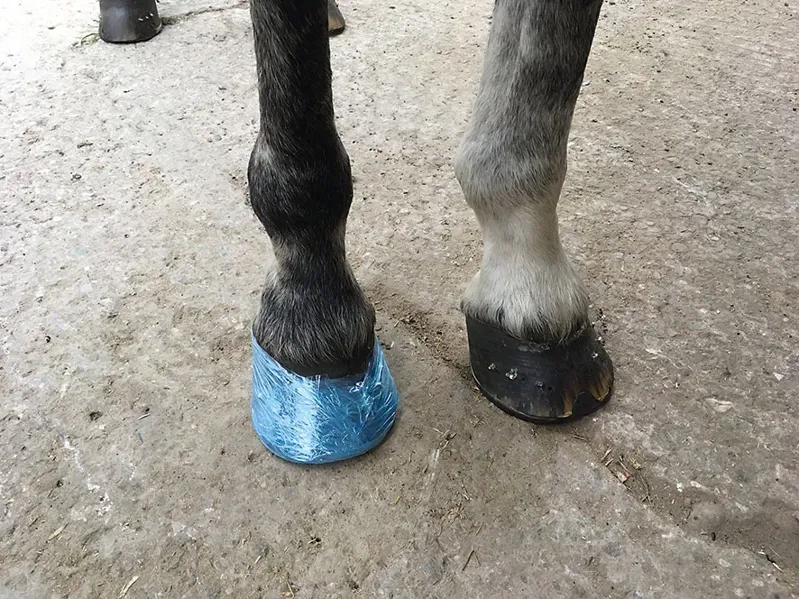 Farrier Cling-2