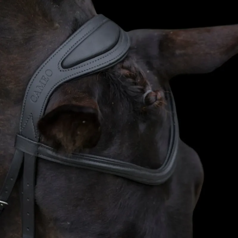 Cameo Anatomic Comfort Bridle - Black