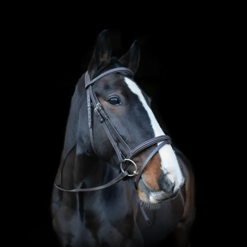Cameo Anatomic Comfort Bridle - Black-1