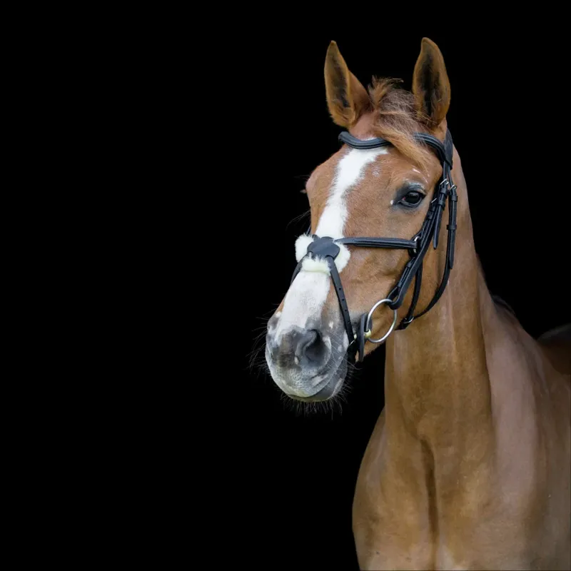 Cameo Anatomic Grackle Bridle - Brown-1
