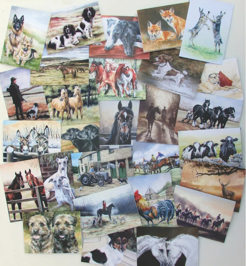 Caroline Cook Equestrian and Countryside Cards Multi pack of 60