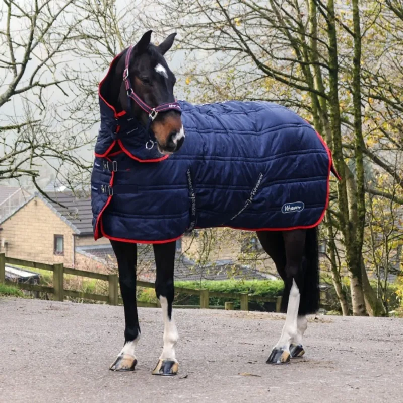 John Whitaker Rastrick 250g V2 Detachable Neck Stable Rug - Navy