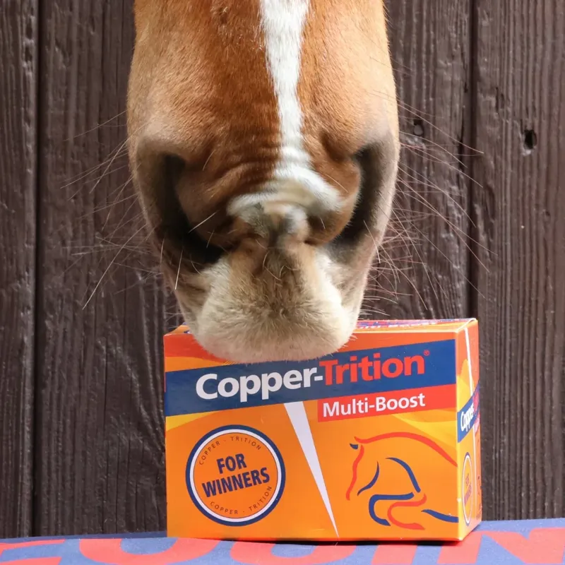 Equine Products Copper-Trition Multi-Boost 50g sachets - 10 pack-2