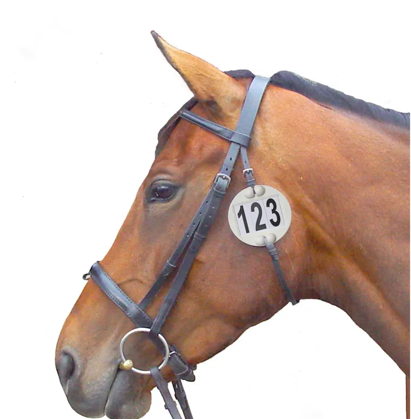 Equidisc Bridle Nuumbers - White-1