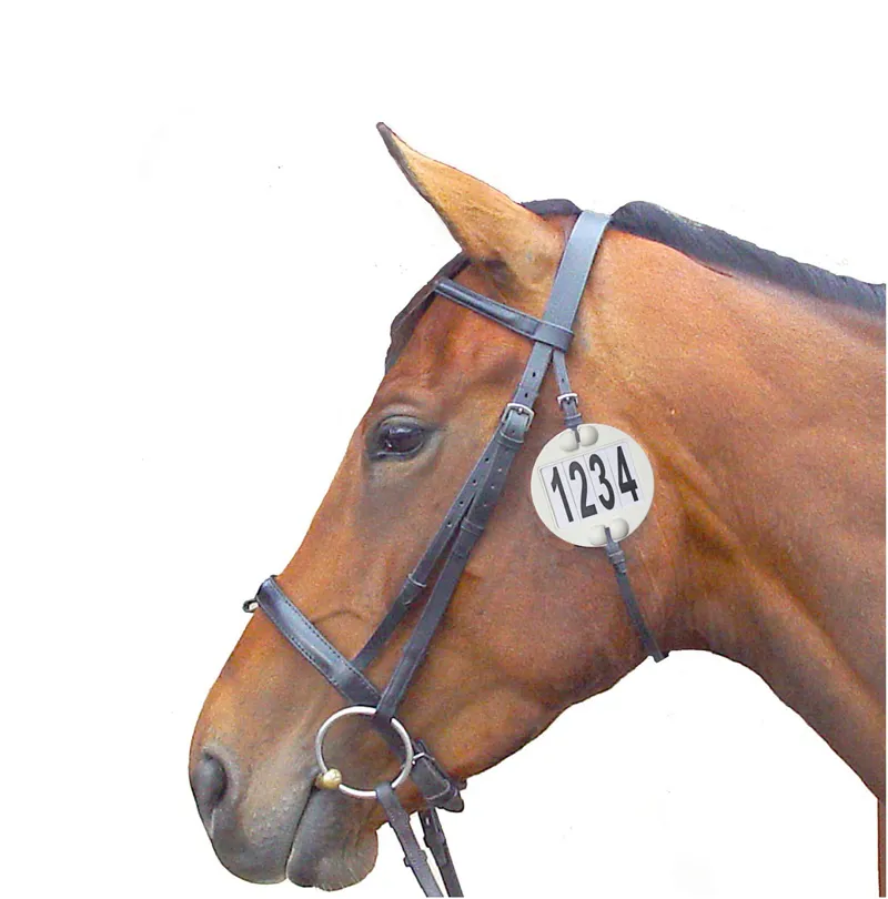 Equidisc Bridle Nuumbers - White-3