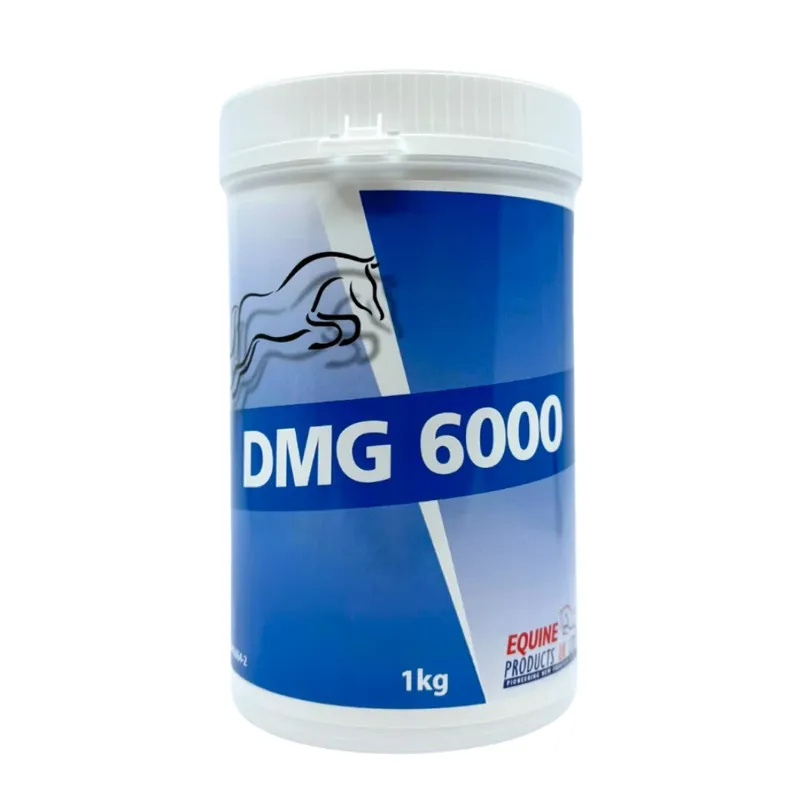 Equine Products DMG 6000 Metabolism Enhancment Powder - 1kg-1
