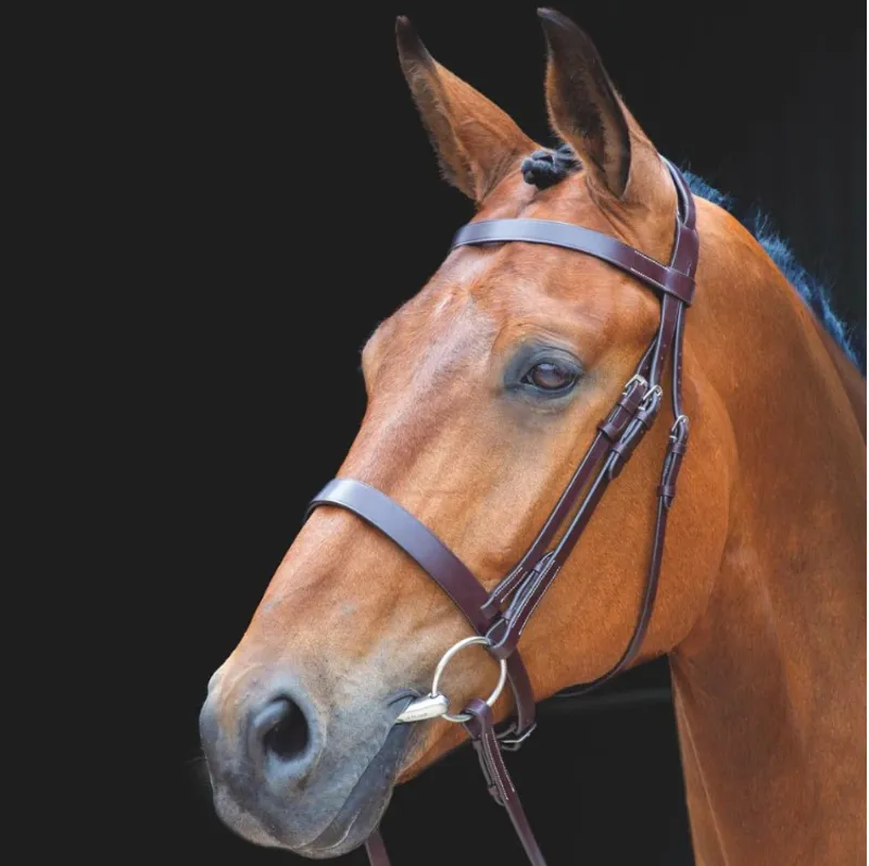 Shires Salisbury Berrington Bridle - Australian Nut