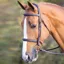 Shires Salisbury Fairford Bridle - Australian Nut