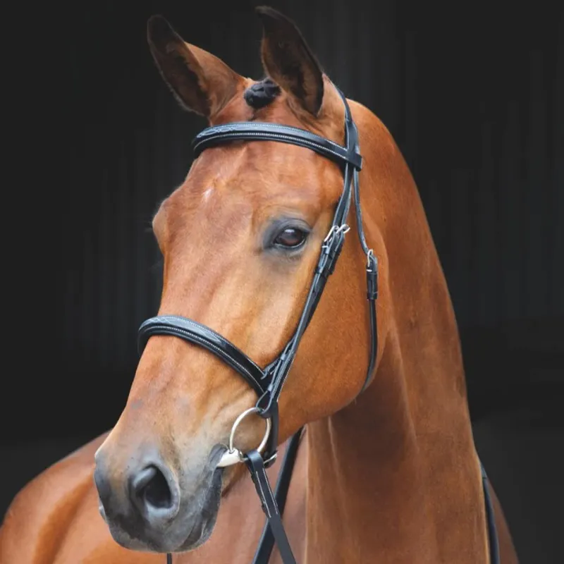 Shires Salisbury Fairford Bridle - Black