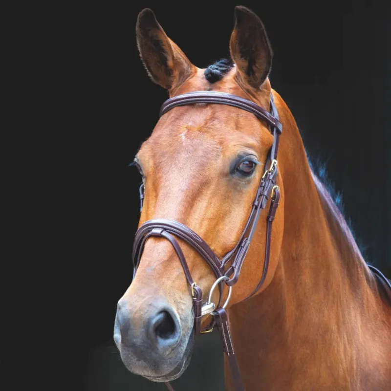 Shires Salisbury Bodenham Bridle - Australian Nut