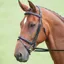 Shires Salisbury Bodenham Bridle - Black
