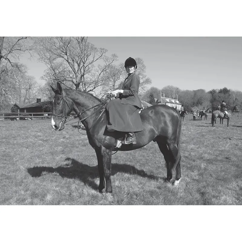 Kevin Milner Countryside Cards - Side Saddle