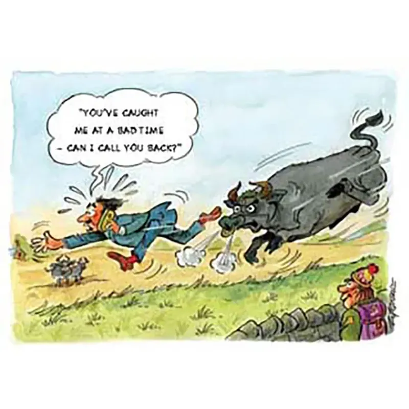 Kevin Milner Countryside Cards - Can I Call You Back