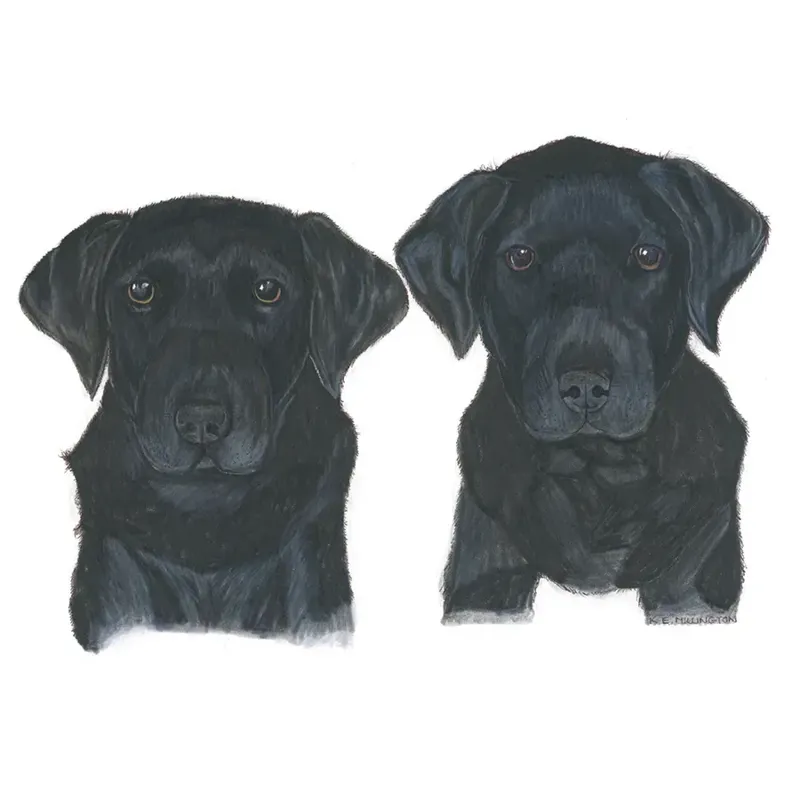 Kevin Milner Countryside Cards - Good Friends Art