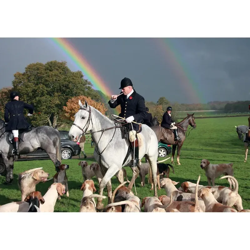 Kevin Milner Countryside Cards - Moving Off