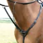 Shires Salisbury 3-Point Breastplate - Black