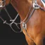Shires Salisbury 5-Point Breastplate - Australian Nut