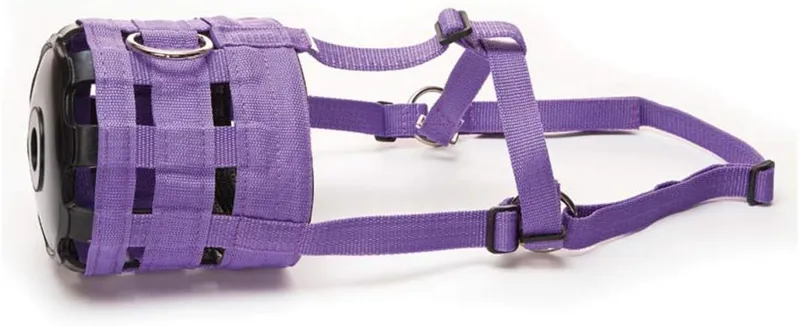 Hy Grazing Muzzle - Purple