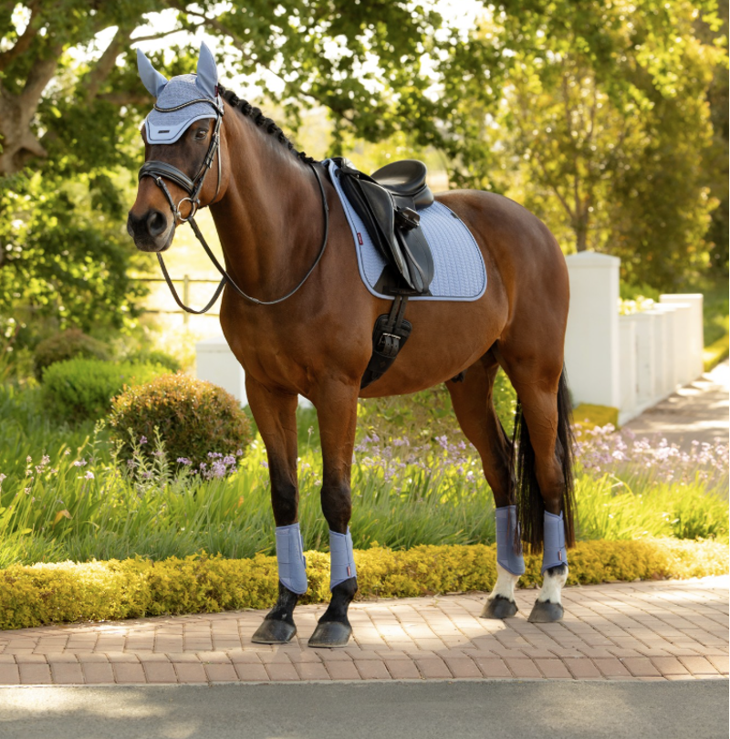 LeMieux Essence Dressage Square - Powder Blue-3