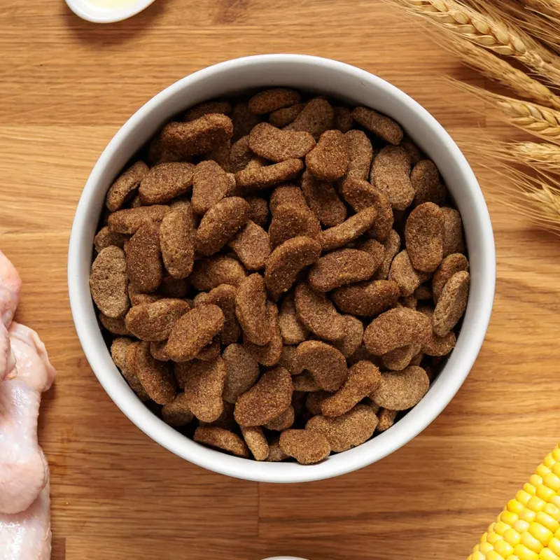 Dr John Adult Dog Gold with Chicken and Vegetables - 2kg-2