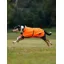 WeatherBeeta ComFiTec Reflective 300D Deluxe Showerproof Dog Coat - Orange