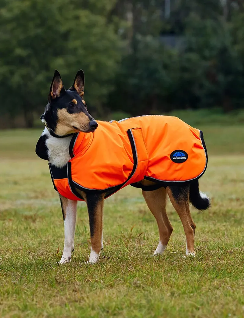 WeatherBeeta ComFiTec Reflective 300D Deluxe Showerproof Dog Coat - Orange-1