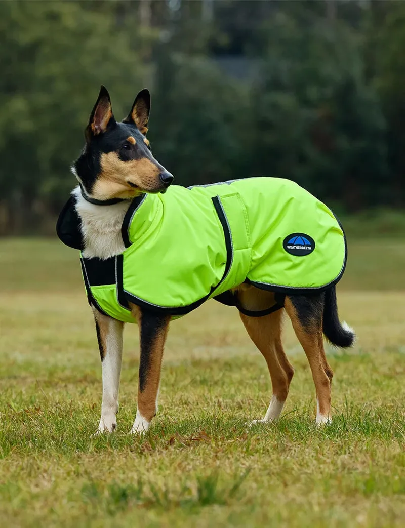 WeatherBeeta ComFiTec Reflective 300D Deluxe Showerproof Dog Coat - Yellow