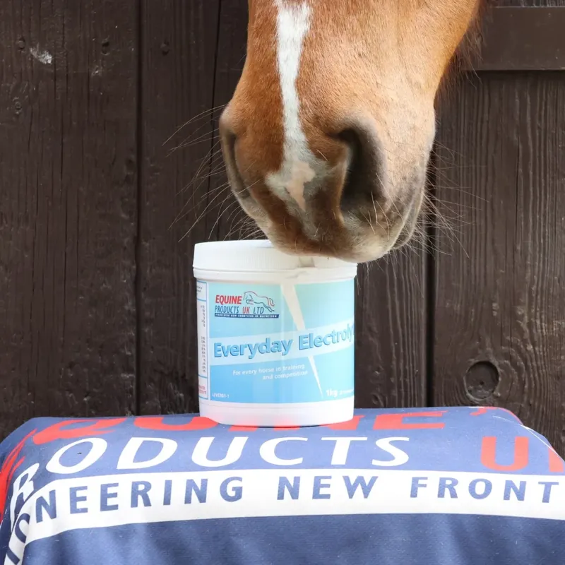 Equine Products Everyday Electrolyte Powder - 1kg-2
